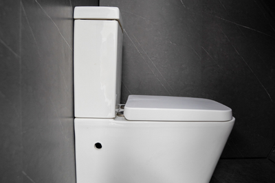 Wash Spacee design interior with fully installed modern bathroom fixtures including functioning toilet.